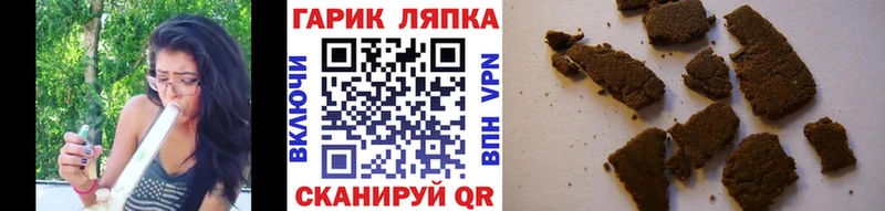 ГАШ гарик  Чайковский 